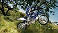 Yamaha  WR 250 F